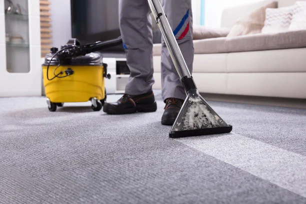 The Ultimate Guide to Carpet Dry Cleaning: Benefits, Process, and Tips